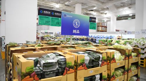 廈門網絡技術開發 數字浪潮下的創新高地與產業升級