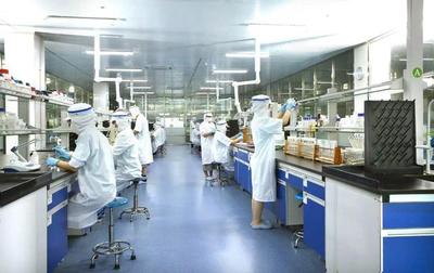 安井食品港股上市首日表現穩健，廈門網絡科技產業再添新翼